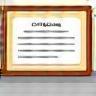 Icon representing a professional certificate